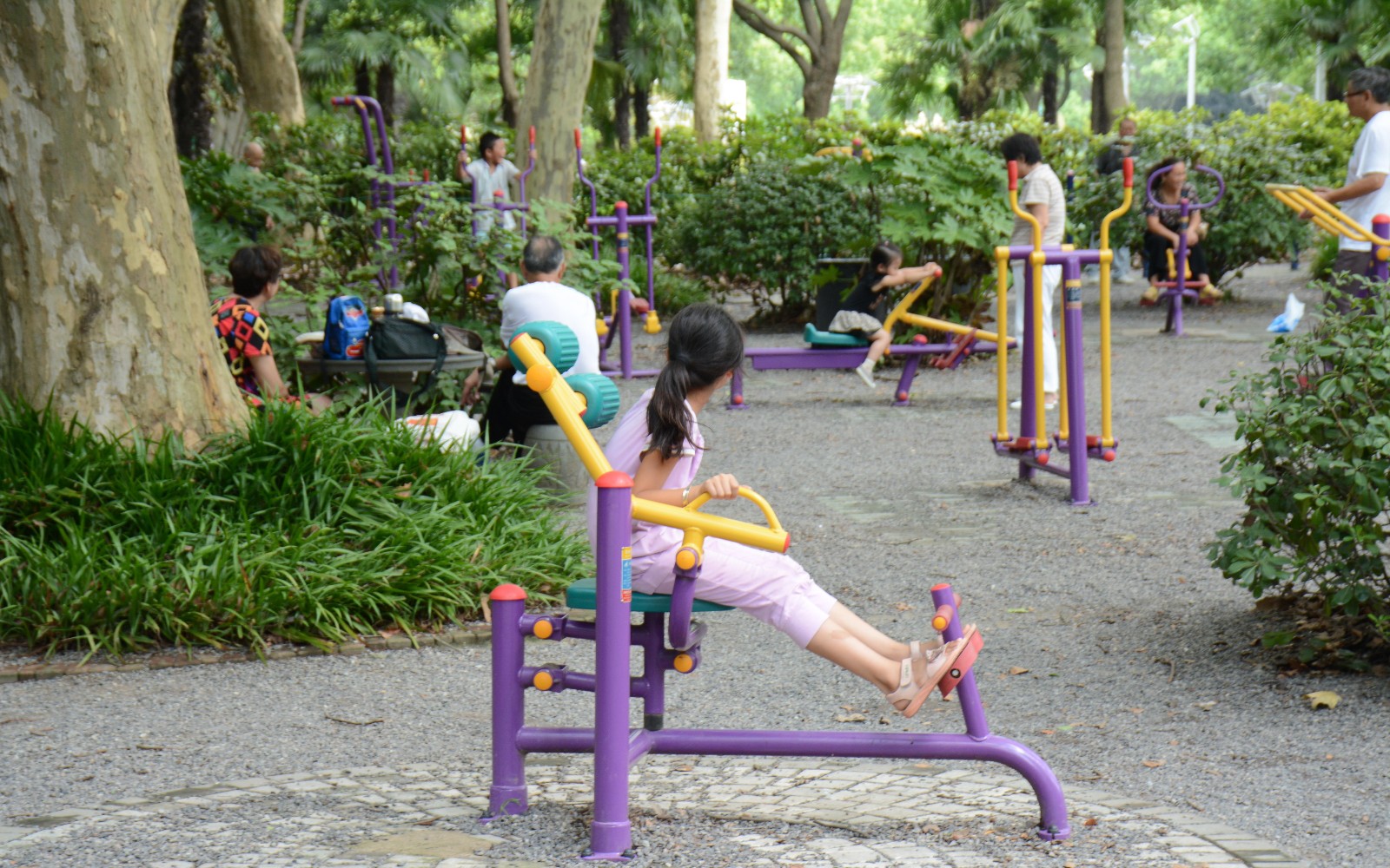 307910.jpg 307910.jpg