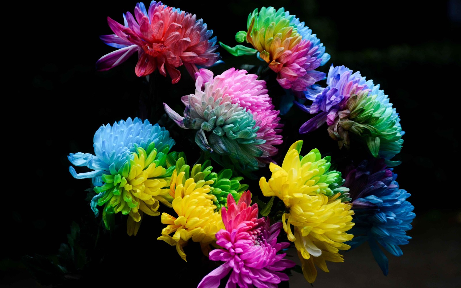 332827.jpg 332827.jpg