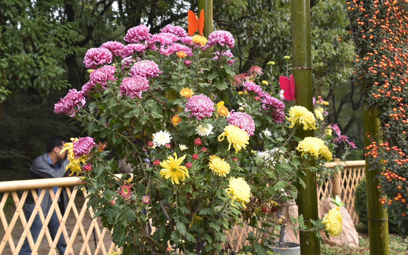 333077.jpg 333077.jpg