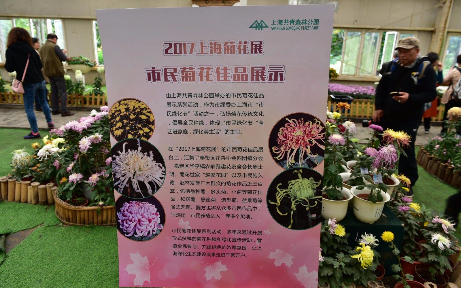 337751.jpg 337751.jpg