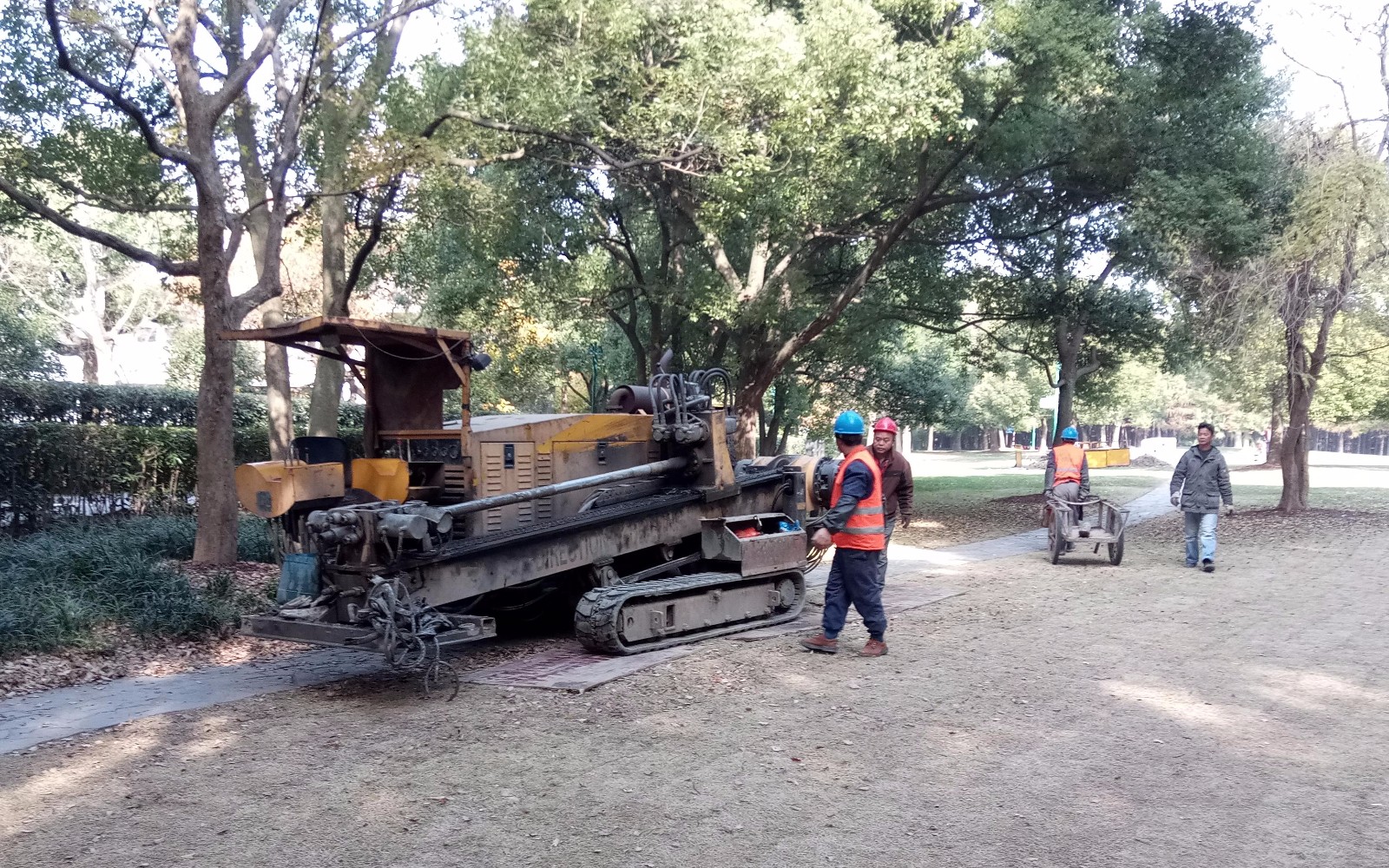 339705.jpg 339705.jpg