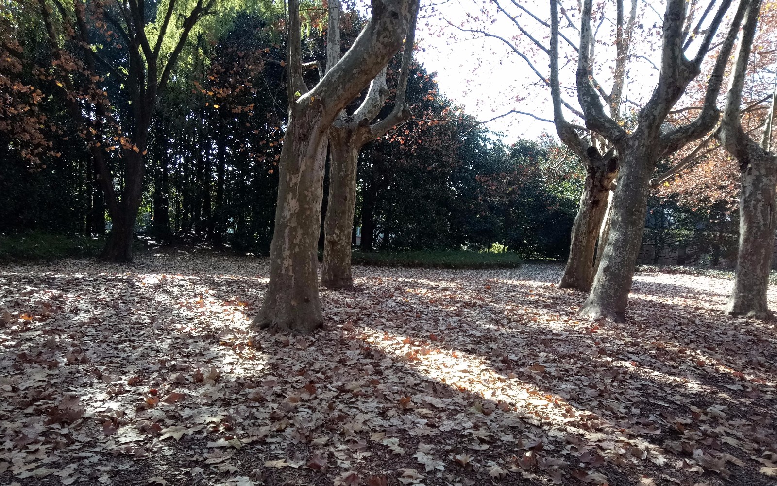 339987.jpg 339987.jpg