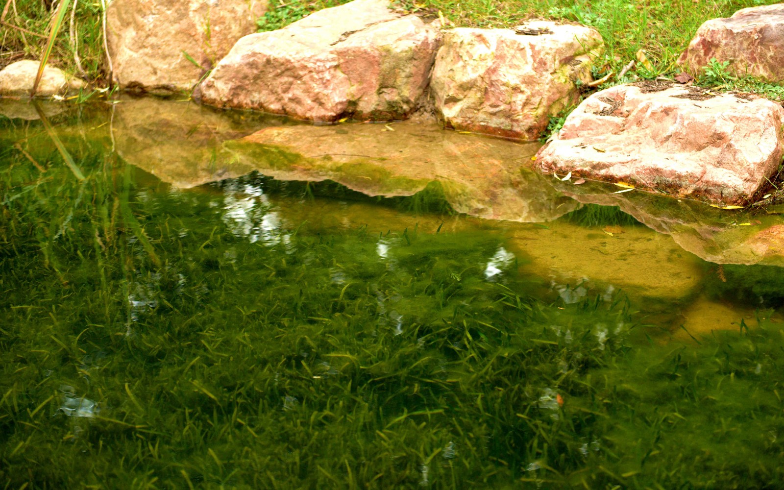 340237.jpg 340237.jpg