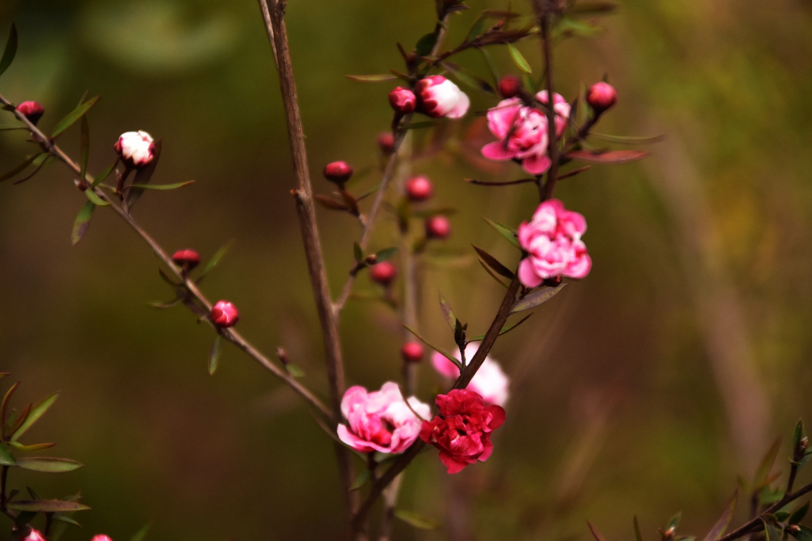 DSC_0647.JPG DSC_0647.JPG