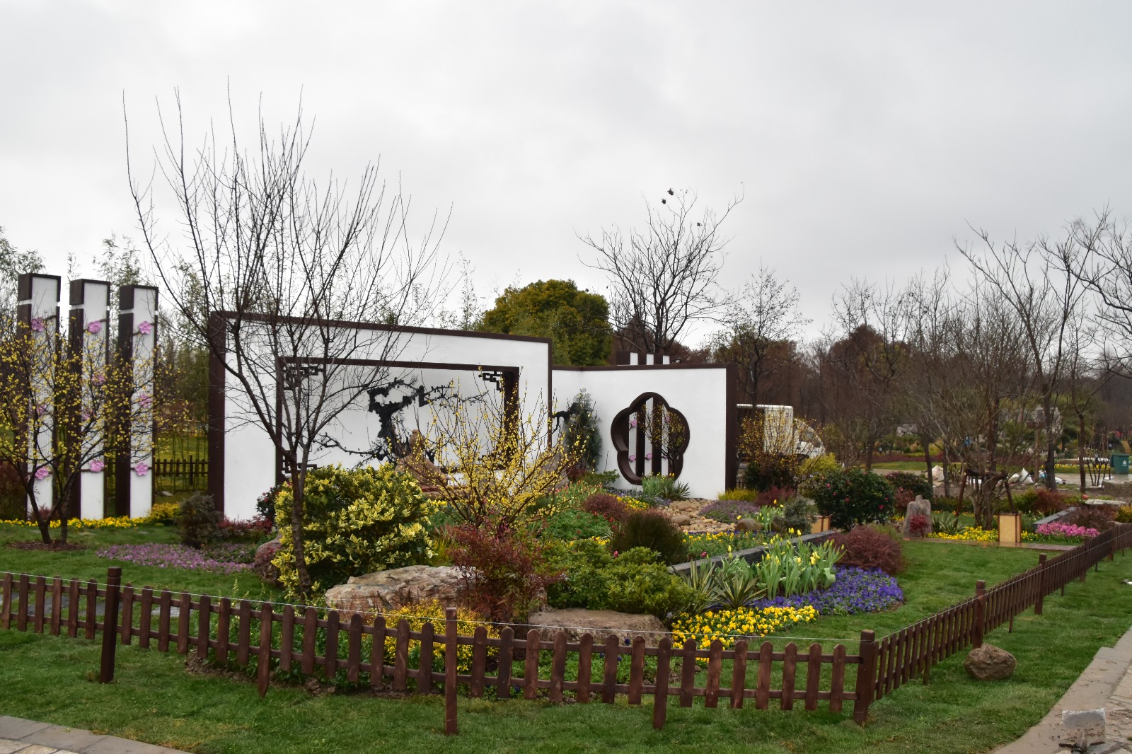 DSC_1003.JPG DSC_1003.JPG