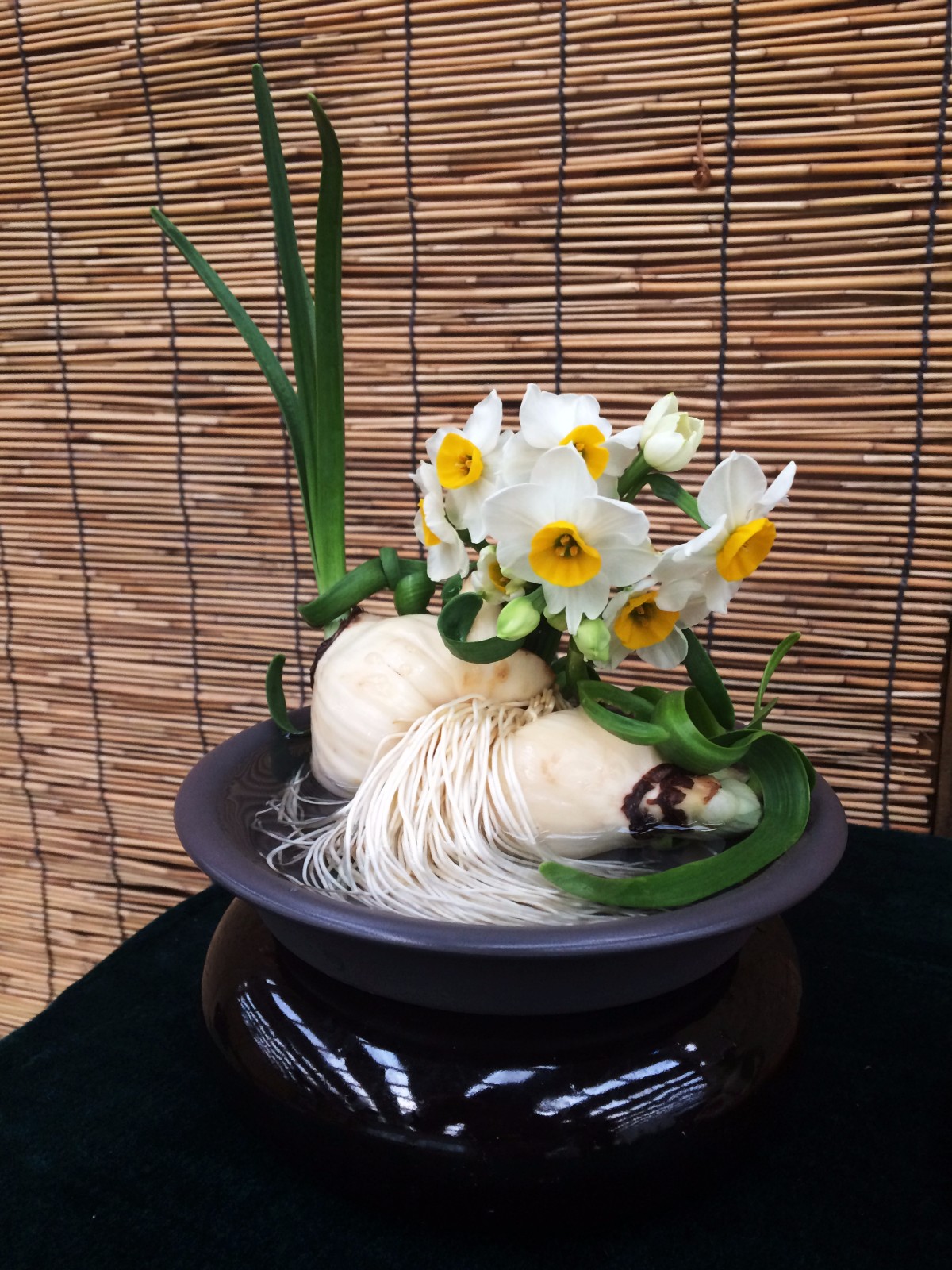04-养护金奖-20-桃李芬芳(李陈鑫).JPG 04-养护金奖-20-桃李芬芳(李陈鑫).JPG