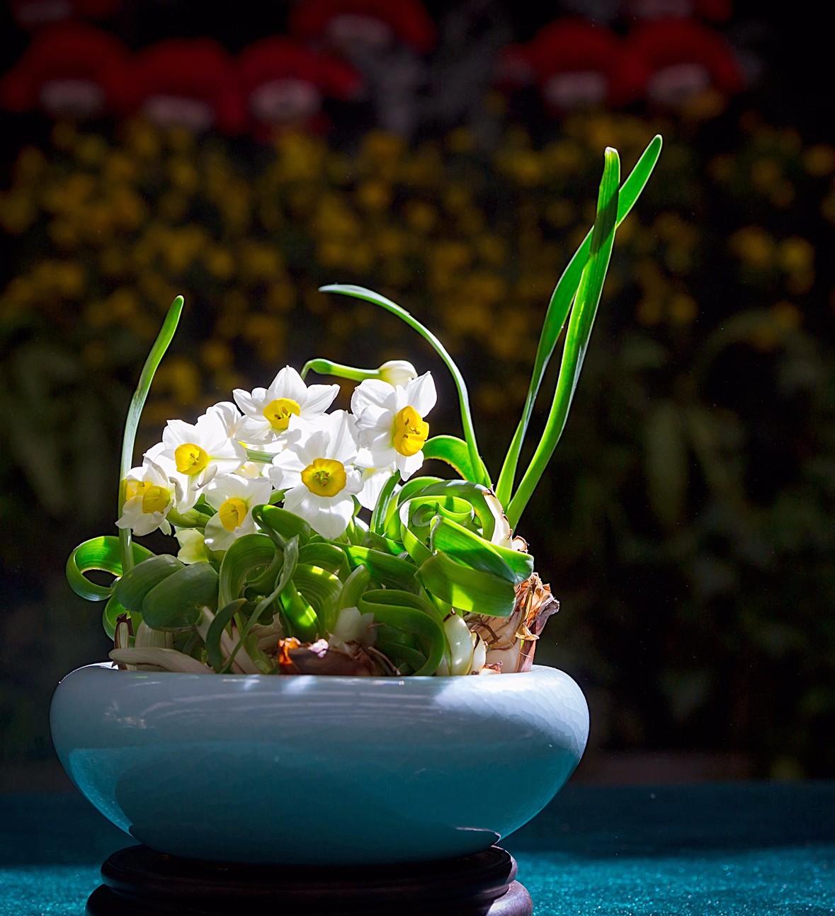 14-优胜奖-36-心花怒放(杨思琪).jpg 14-优胜奖-36-心花怒放(杨思琪).jpg