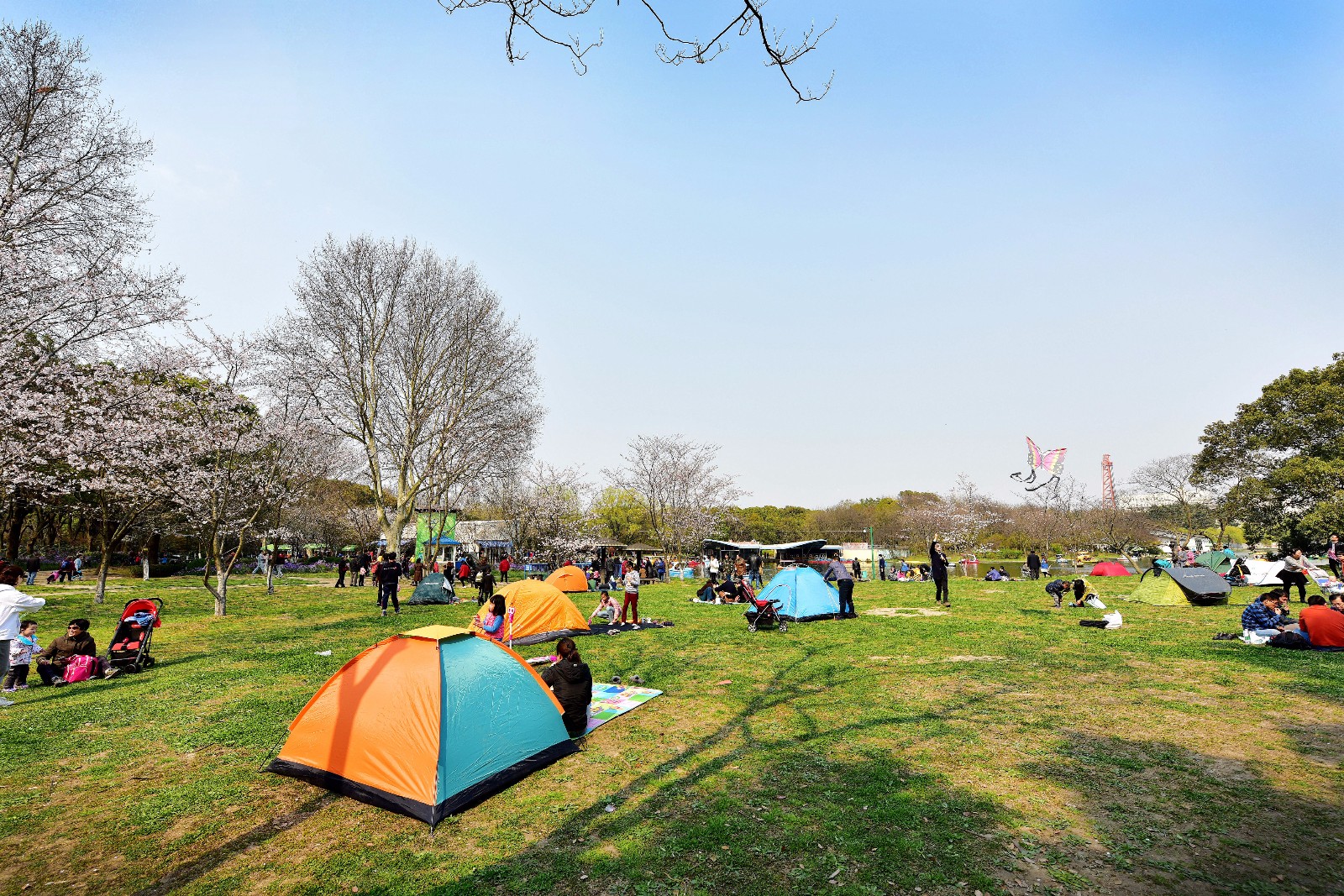 上海共青森林森林公园五一期间推出多项便民利民活动