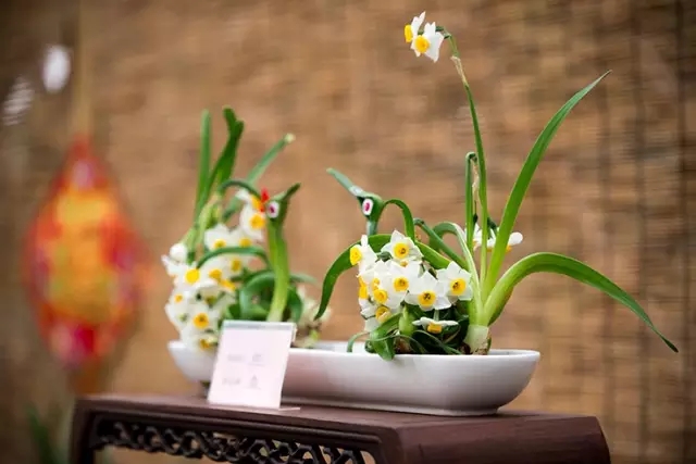 历年5.webp.jpg 历年5.webp.jpg