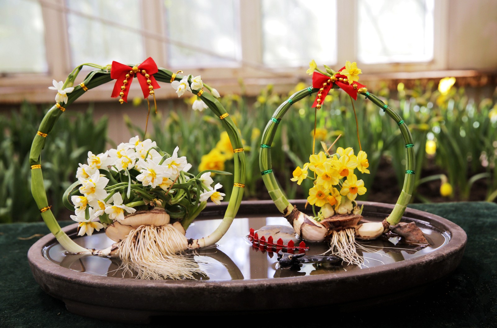 02-最佳人气-50-团团圆圆(蔡蓉)_副本.jpg 02-最佳人气-50-团团圆圆(蔡蓉)_副本.jpg