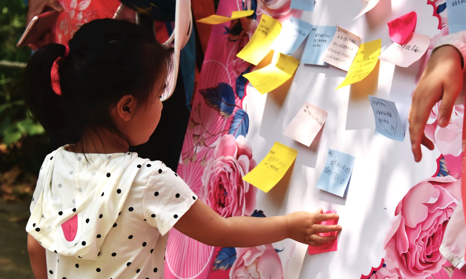 DSC_7735_副本.jpg DSC_7735_副本.jpg