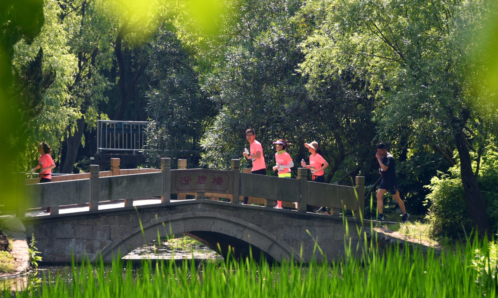 DSC_7311_副本.jpg DSC_7311_副本.jpg