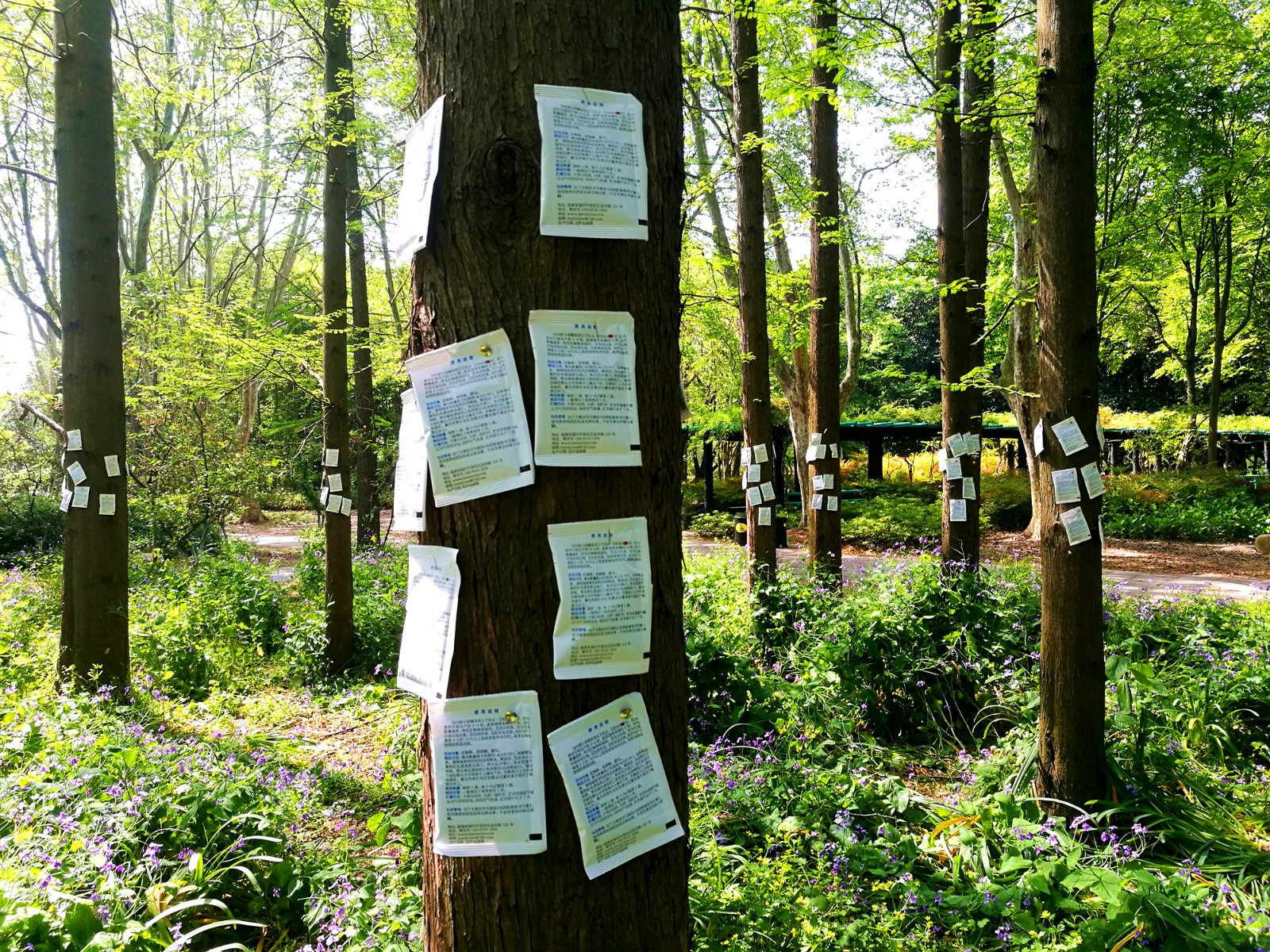 微信图片_20190509083634.jpg 微信图片_20190509083634.jpg