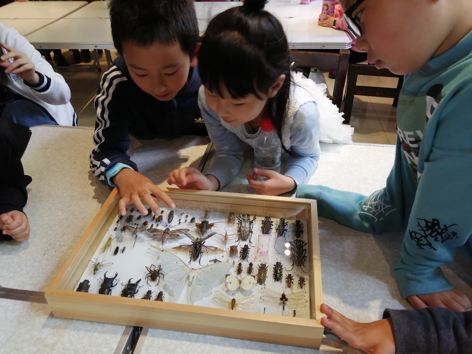 IMG_20190502_134354.jpg IMG_20190502_134354.jpg