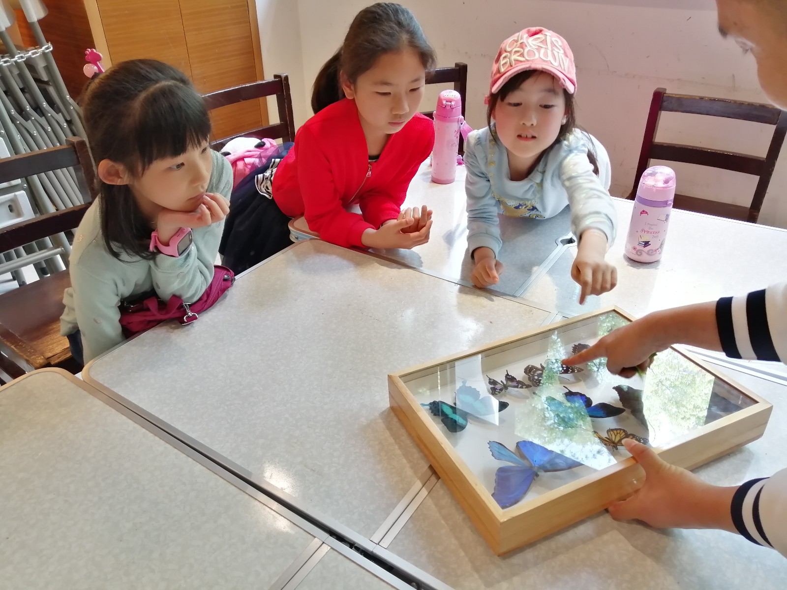 IMG_20190502_141036.jpg IMG_20190502_141036.jpg