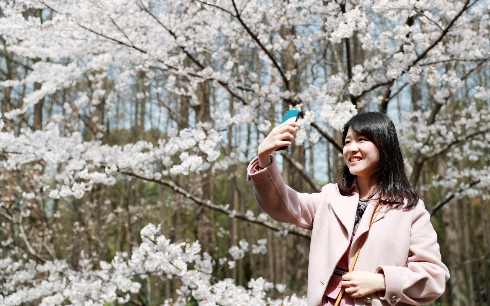 572511.jpg 572511.jpg