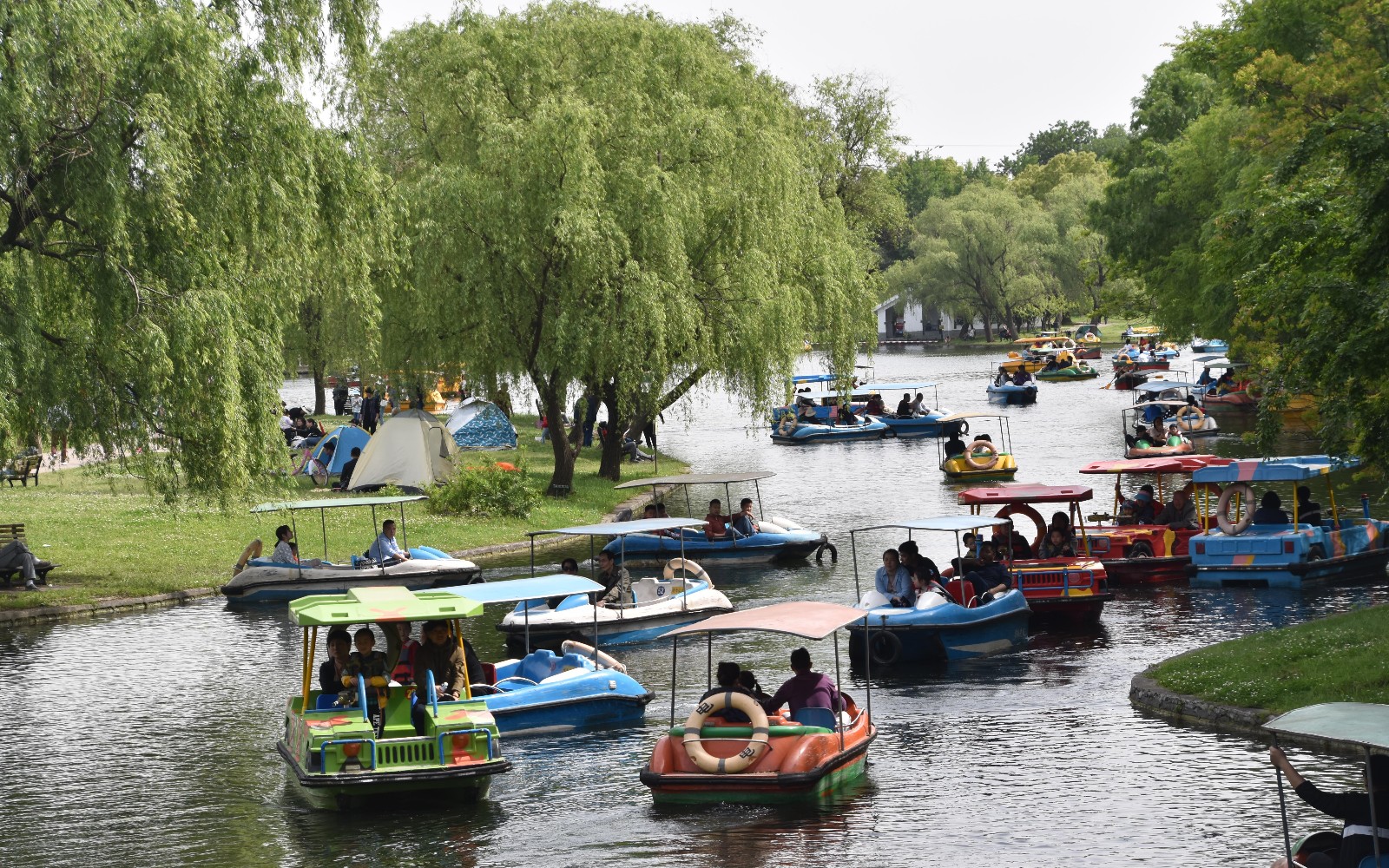 572245.jpg 572245.jpg