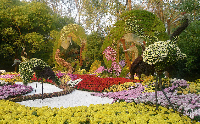 Flower-show-c-03